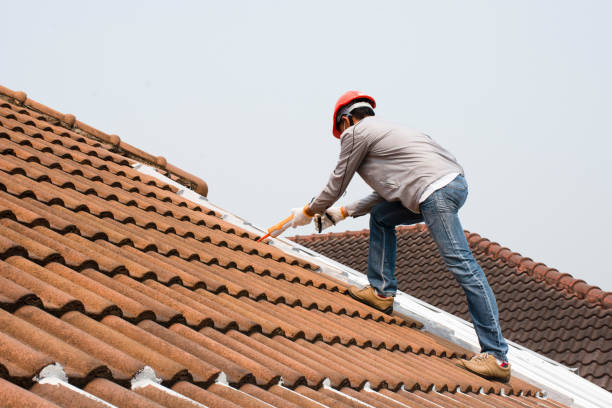 Roof Coating Services in Snowmass Village, CO